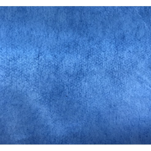 Protège oreiller / Taie d'oreiller bleue
